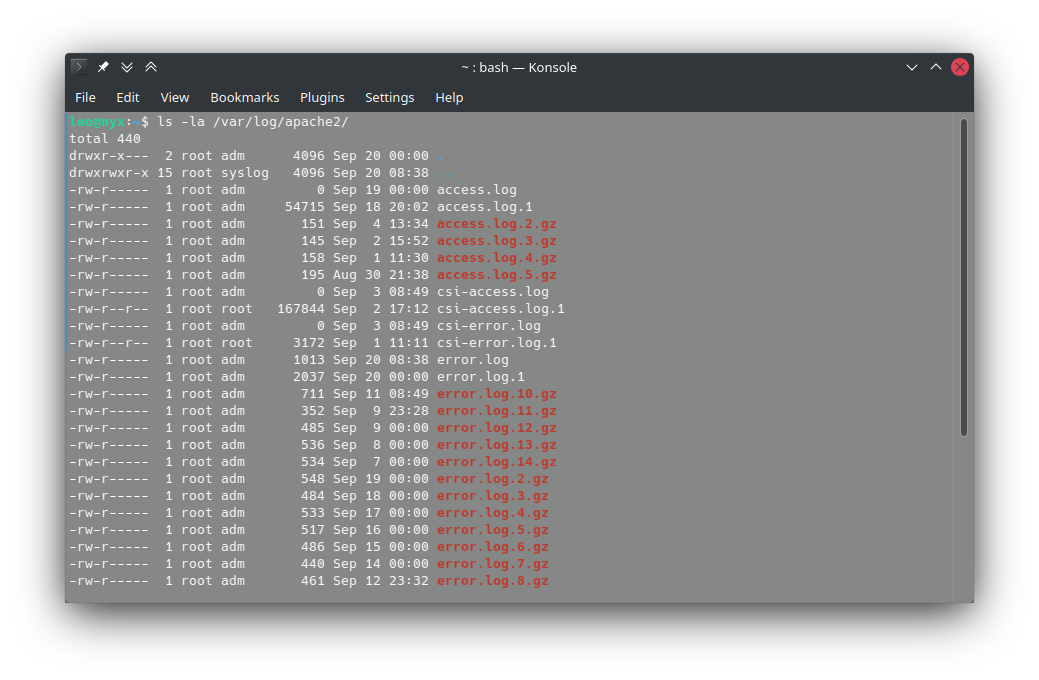 Linux Apache logs