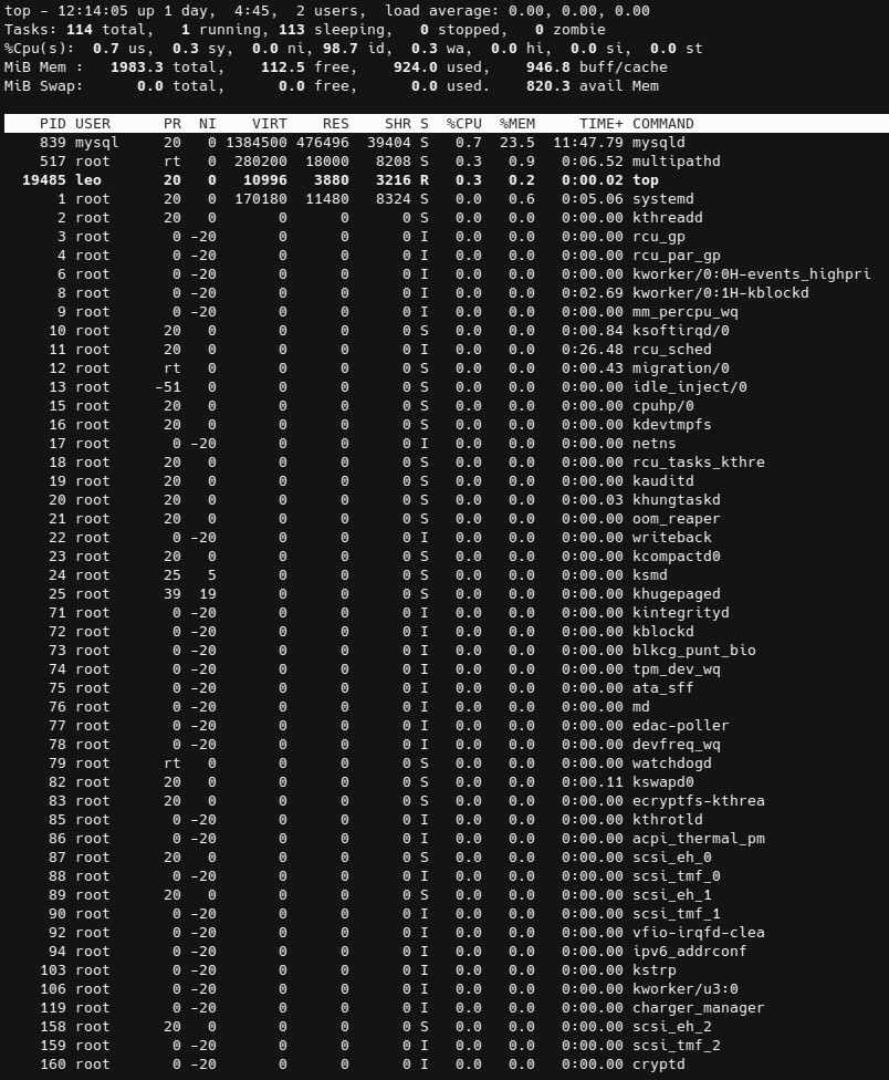 linuix virtual server top command