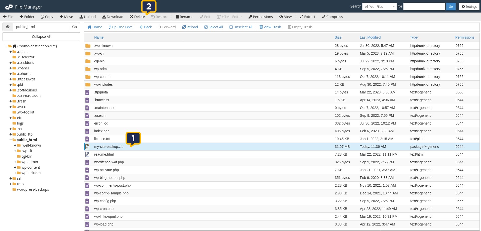 Website Migration | cPanel - Dest Delete