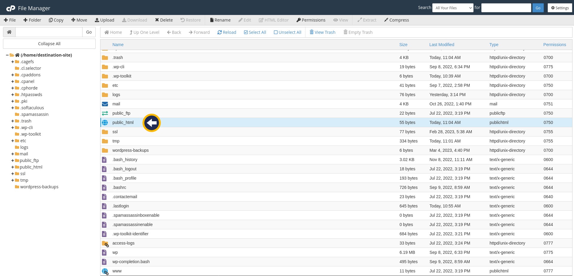 Website Migration | cPanel - Dest File Manager