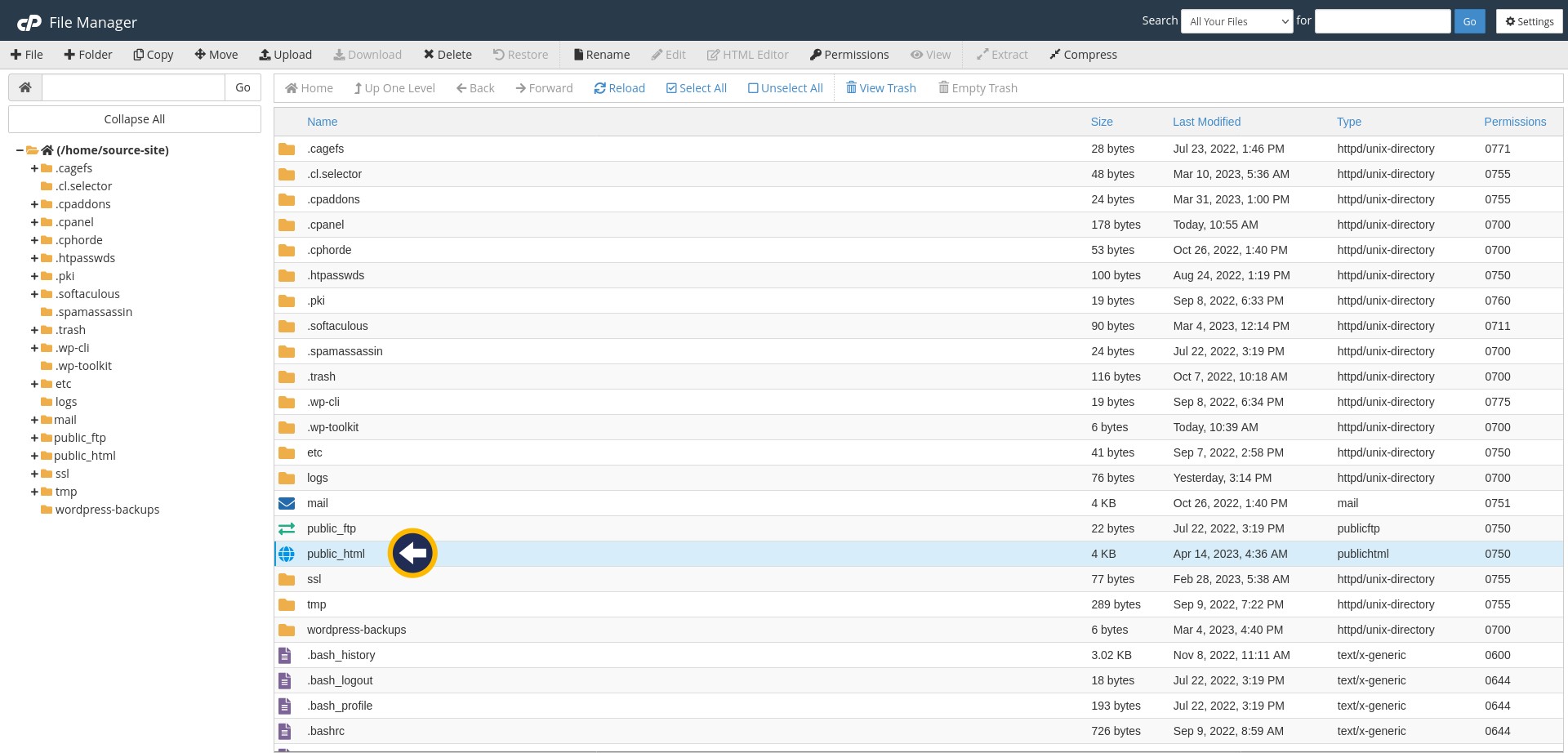 Website Migration | cPanel - File Manager