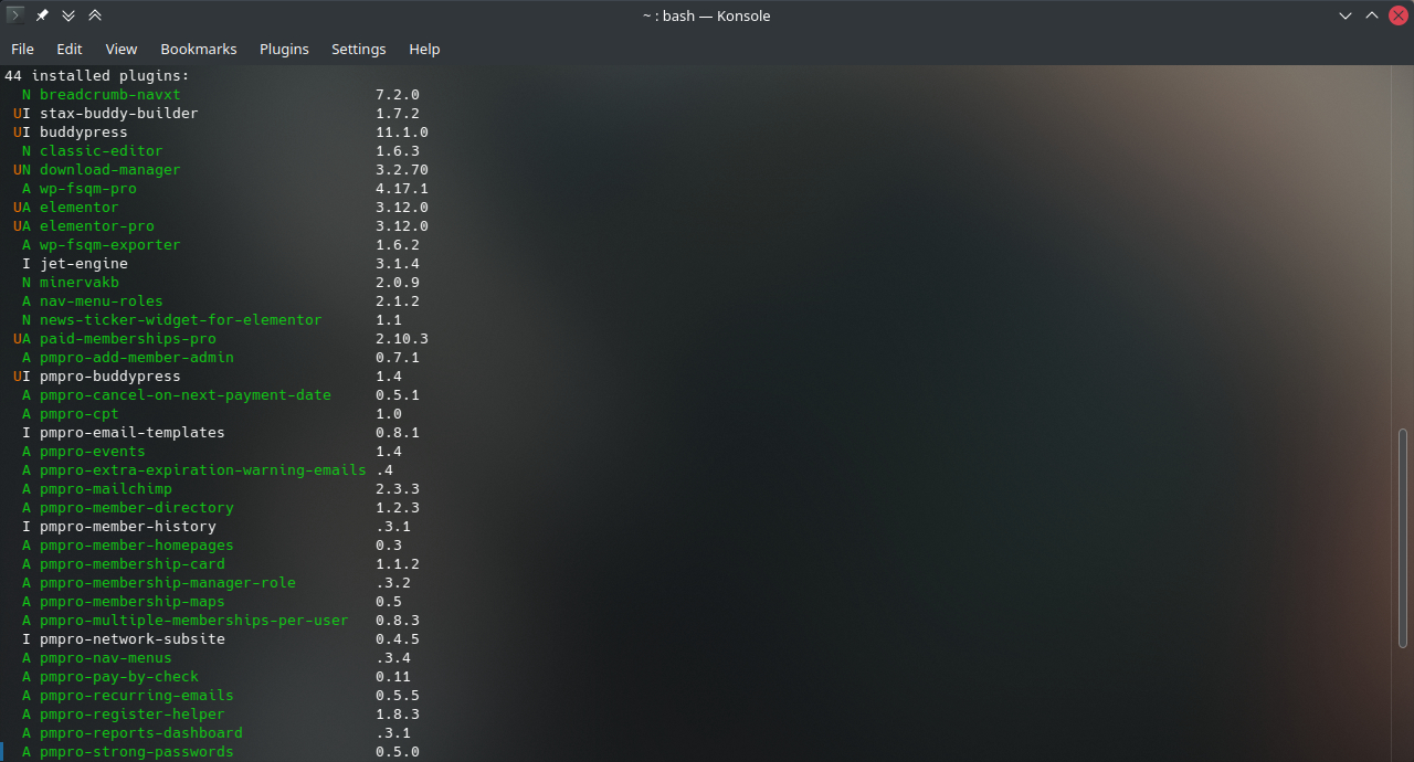 screenshot of WP CLI showing installed plugins